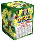 Daffodil 16s 24/1