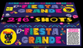 Fiesta Grande 216s 4/1