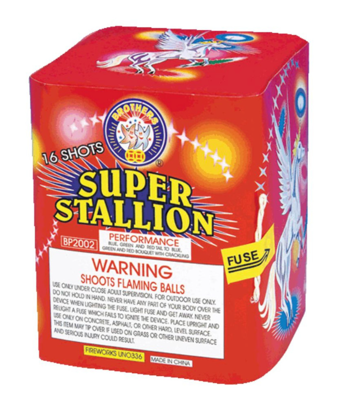 Super Stallion 24/1
